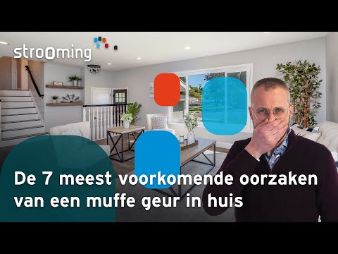 Opsporen Van Muffe Geur In Huis