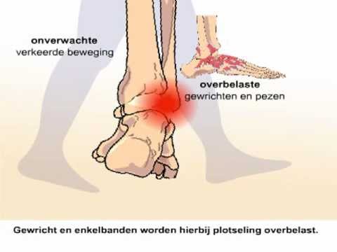 Door Enkel Gaan En Knak Horen: De Geheimen Van Ons Lichaam Ontrafeld