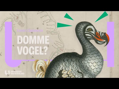 Hoe Is De Dodo Uitgestorven: Een Tragisch Verhaal Van Extinctie