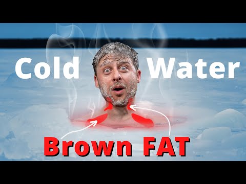 The Benefits of Cold-Water Immersion (Brown Fat & Weight Loss)