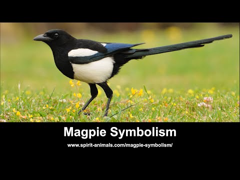 Magpie Symbolism