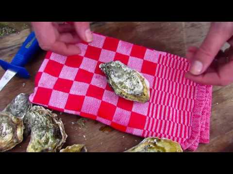 Hoe Oesters Openen: Een Eenvoudige Handleiding Voor Beginners