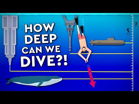 What Is The DEEPEST A Human Can DIVE? Debunked