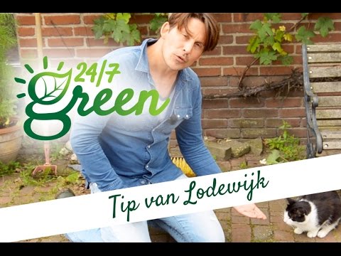 Hoe Hou Ik Katten Uit Mijn Tuin: Handige Tips!