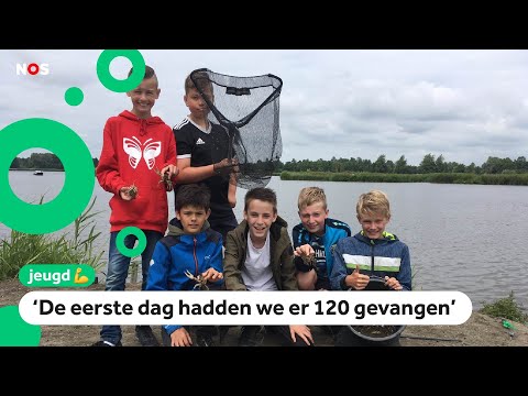 Hoelang Kan Een Kreeft Zonder Water Blijven?